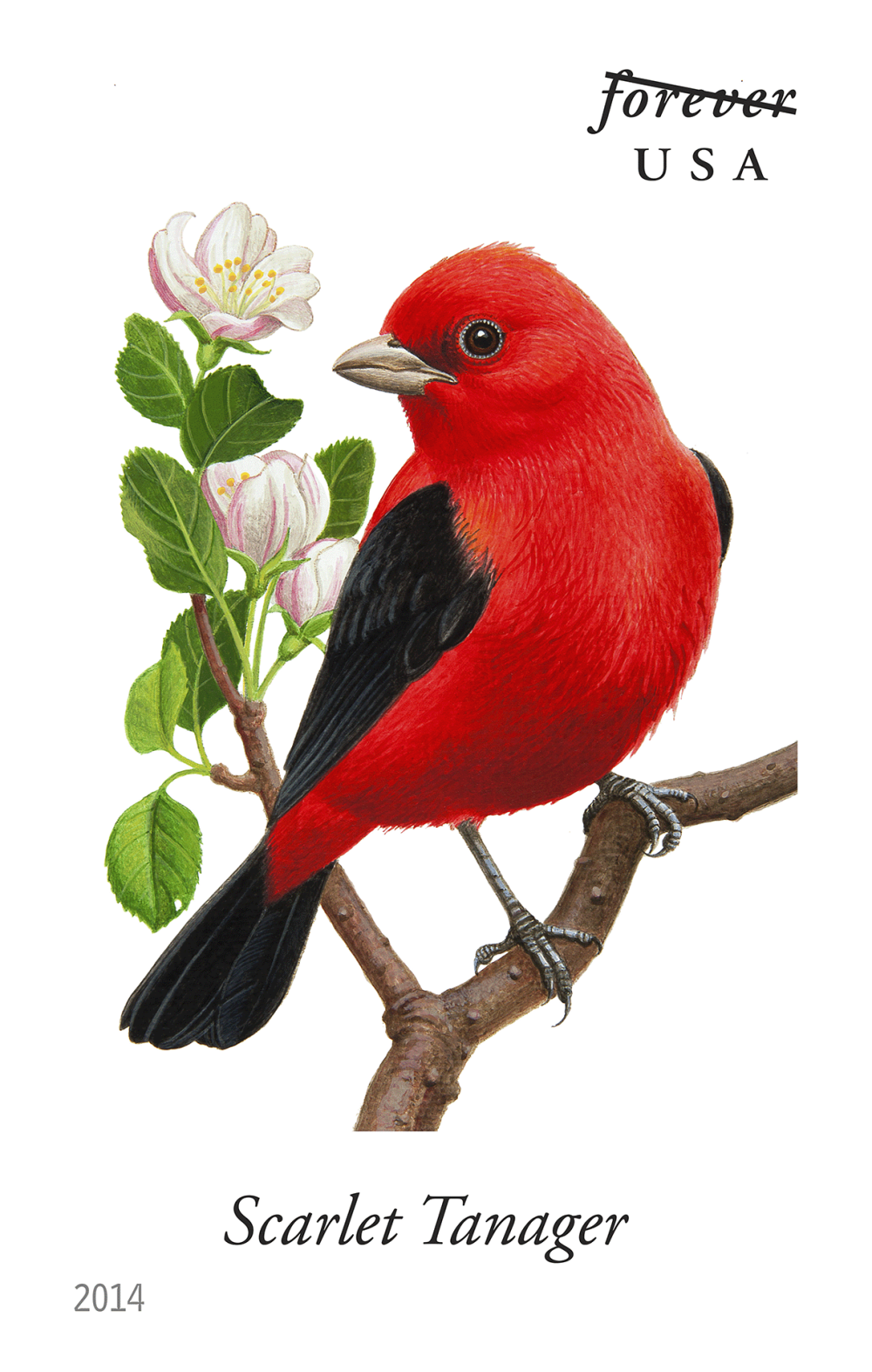 2014 Song Birds Stamps - Forever Stamps