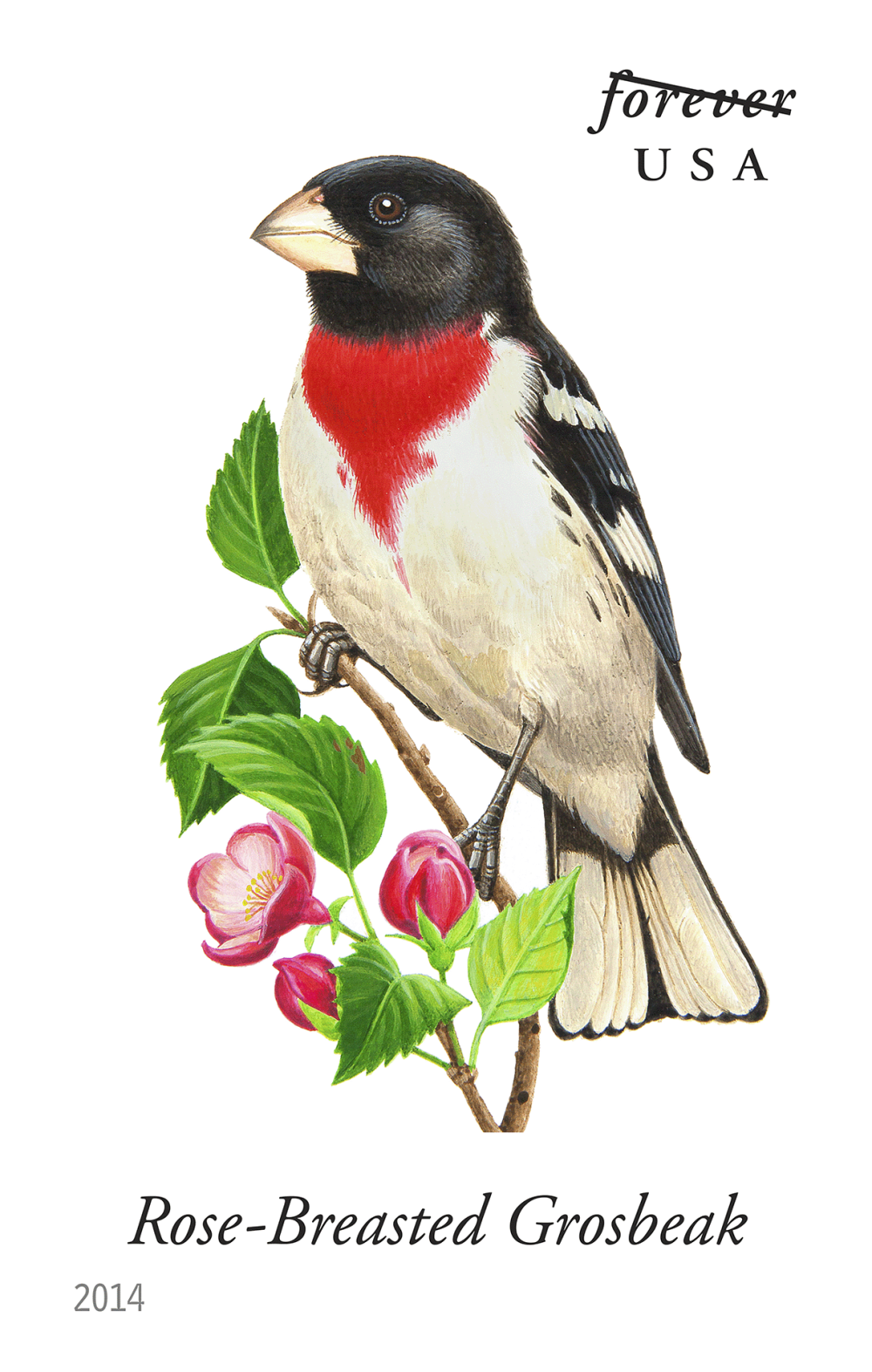 2014 Song Birds Stamps - Forever Stamps