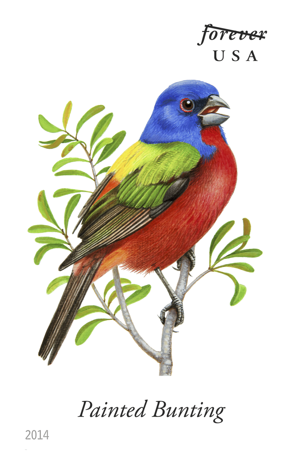 2014 Song Birds Stamps - Forever Stamps