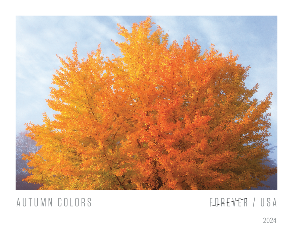 2024 Autumn Colors Stamps - Forever Stamps