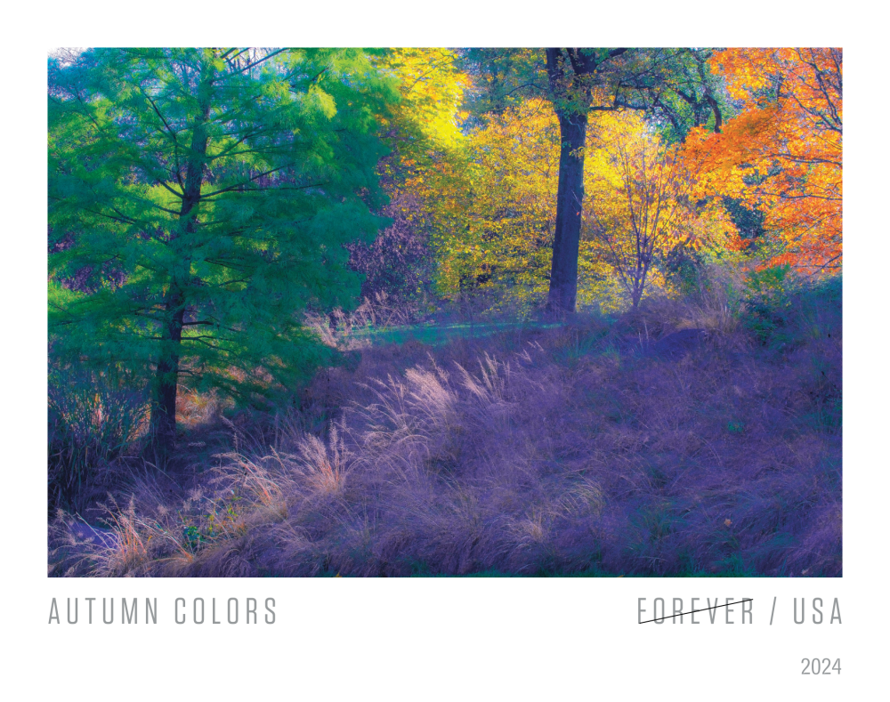 2024 Autumn Colors Stamps - Forever Stamps