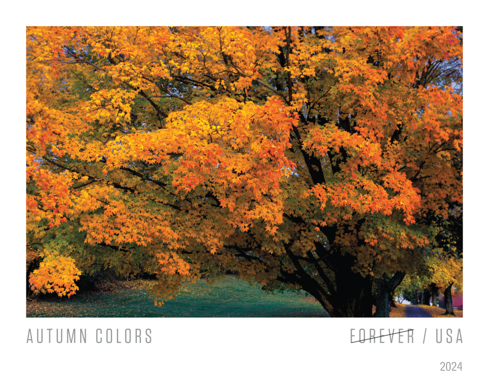 2024 Autumn Colors Stamps - Forever Stamps
